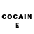 COCAIN Fish Scale bestwpsecurityplugins
