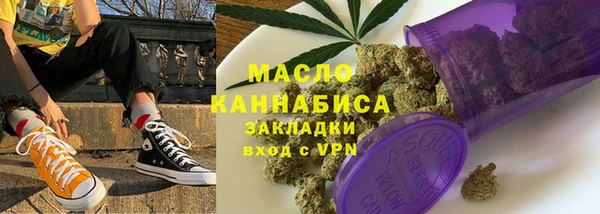 МДПВ Инта