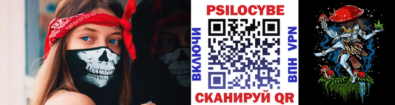 Галлюциногенные грибы Psilocybe  магазин  наркотиков  Пущино 